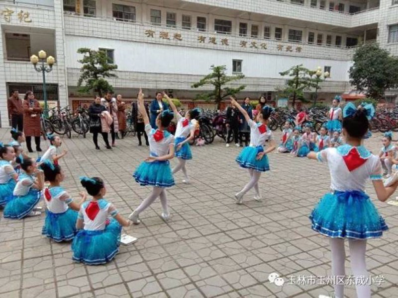 玉州区文化之花绽放:群众文化的独特魅力